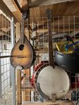 Antik mandolin och banjo- renoveringsobjekt eller dekoration