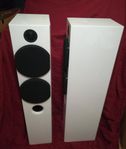 Triangle Color Floorstander
