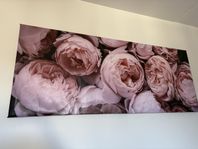IKEA TAVLA