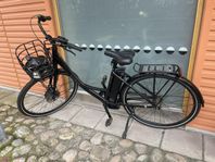 Eco ride ambassador