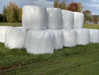 Hösilage