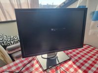 Dell Monitor U2410 1920 x 1200