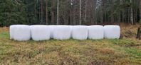 Hösilage