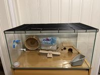 Hamsterbur med tillbehör 