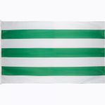Flagga Hammarby 