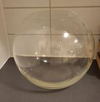 Glasskål/vas