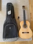 aukustisk gitarr