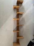 pilaster, hylla i massiv ek