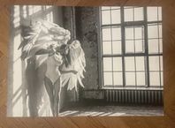 PLANSCH 50x70 cm