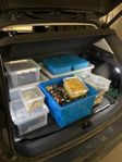 50kg+ LEGO.