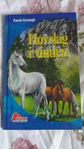 Ungdomsbok