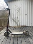El scooter 