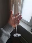 orrefors champagneglas intermezzo satin 