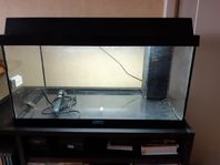 akvarium 50 liter
