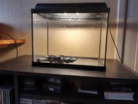 akvarium 30 liter