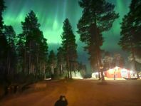 Fiskecamp Rusksele vid Vindelälven 