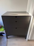 Stokke home dressyr byrå