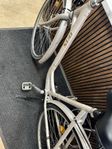 fin damcykel 