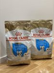 Royal Canin Fransk Bulldog Valp Torrfoder
