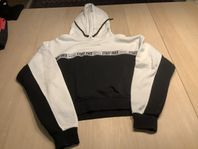 Hoddie S