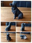 Flat Coated Retriever 