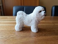 Bichon Frisé DW Sweden samlarhund