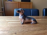 Tax samlarhund 