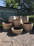 Fina vintunnor ekfat vintunna 