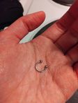 piercing näsan septum 
