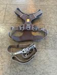 set med sele, halsband och koppel i bra kvalitet -Ruffwear