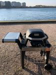 Weber Pulse 1000
