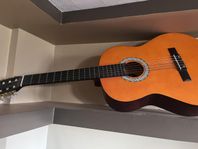 2-Gitarr 