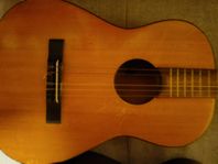 akustisk gitarr