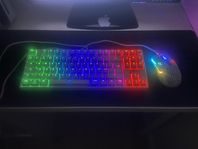 tangentbord & mus ( gaming)