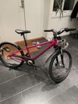 cyckel 24”
