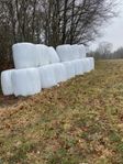 Hösilage