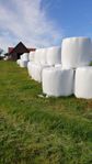 torrt höensilage
