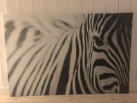 Ikea pjätteryd zebratavla