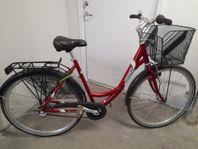 REX 28" 3 vxl