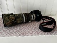 Canon 7D Mark II + Canon EF 100-400 4,5-5,6L IS II USM