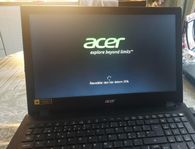 Acer dator