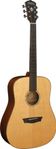Washburn WD150SW westerngitarr helsolid