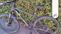 MTB Radon Team 7.0