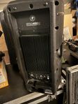 Mackie SRM 450 EV 118P