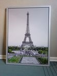 tavla,, Paris''