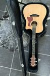 taylor 310ce