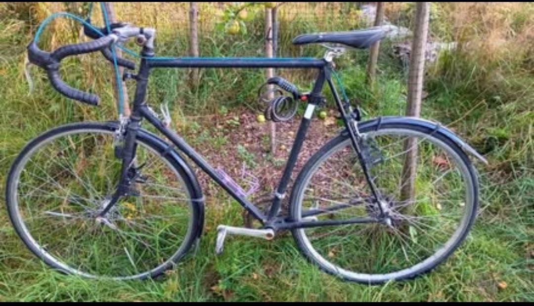 Nishiki racer