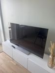 LG OLEDC2 55”