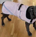 regnkappa hund