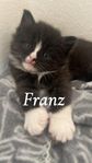 Franz & Pricken
